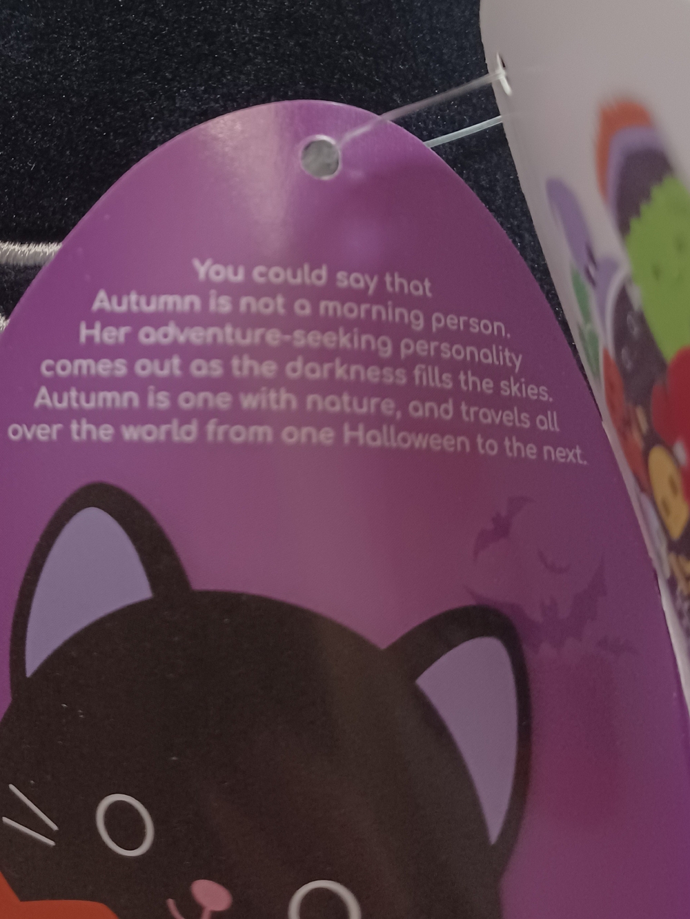 NWT Squishmallows Autumn Black and Orange Halloween Cat Plush - Picture 5 of 7